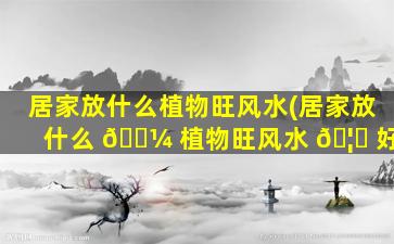 居家放什么植物旺风水(居家放什么 🌼 植物旺风水 🦅 好)